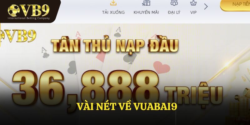 Vài nét về VUABAI9